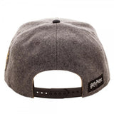 Harry Potter Hogwarts Alumni Hufflepuff Snapback