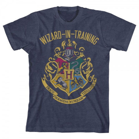 Harry Potter Boys Wizard In Training Navy Heather Tee