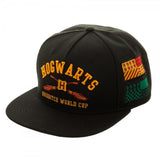 Harry Potter Hogwarts Color Omni Snapback